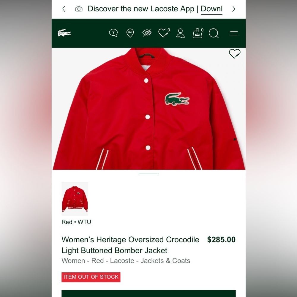 NWOT Lacoste Heritage Oversized Bomber Jacket Size 40 (Women's 8-10) - Picture 5 of 5